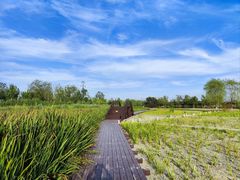 -永定河休闲森林公园