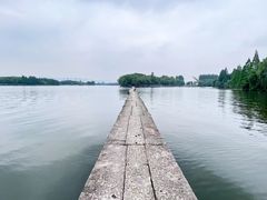 -鲁镇