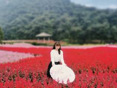 -广州市石门国家森林公园
