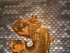 -阿五黄河大鲤鱼(海尚店)