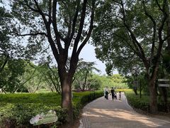 -同里国家湿地公园