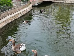 -南宫五洲植物乐园