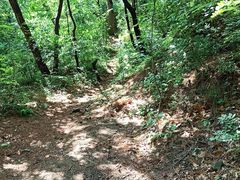 -阳台山自然风景区