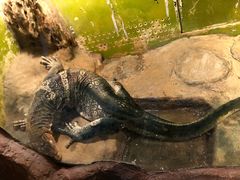 -上海昆虫博物馆