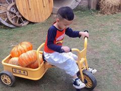 -HERRE·FARM 赫尔露营农场·团建聚会包场