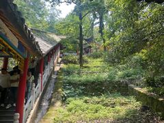 -九华山风景区