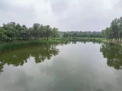 -东郊湿地公园