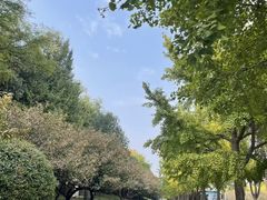 -元大都城垣遗址公园