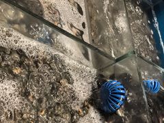 -福州西湖大酒店·怡湖咖啡厅