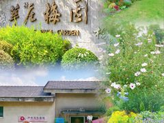 -莘庄梅园