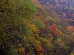 -叠溪松坪沟景区