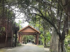 -绿光森林餐厅