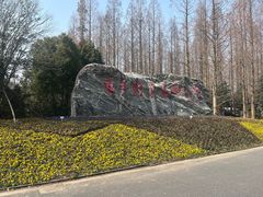 -东平国家森林公园