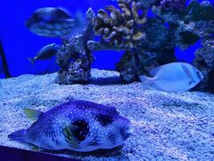 -印咖啡IN COFFEE(红旗街店)