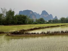 -明仕田园