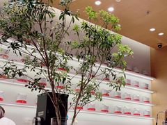 -代数学家algebraist(仙林金鹰店)