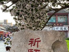 -古文化街旅游区
