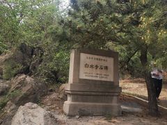 -白水寺森林公园
