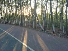 -艾溪湖湿地公园