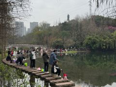 -重庆彩云湖湿地公园