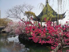 -无锡蠡湖国家湿地公园-蠡园