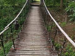 -黄色小屋