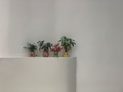 -艾薯夫妇Aysh(福田星河COCOPark店)