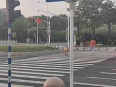 -海底捞火锅(九霄梦天地店)