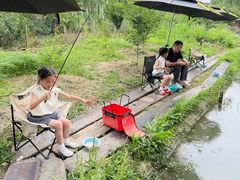 -乌村
