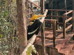 -鸡鸣汤包(红山动物园店)