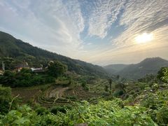 -杨家堂村