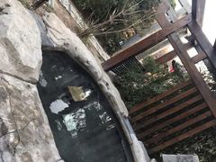 -仁爱团泊湖温泉中心