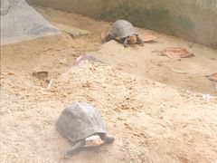 -大可堂普洱茶馆(襄阳南路馆)