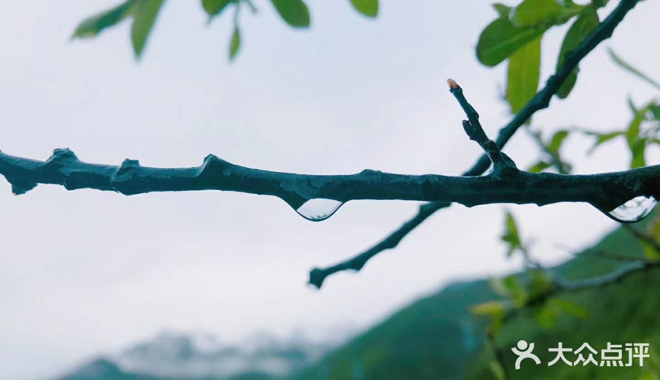 成都周边游[糖果]超级川西冷僻露营圣地[礼花]——鹧鸪山
