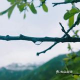 成都周边游[糖果]超级川西冷僻露营圣地[礼花]——鹧鸪山