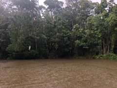-热带雨林自然公园