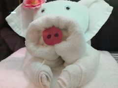 -舟山希尔顿酒店