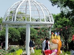 -鹅湖玫瑰文化园