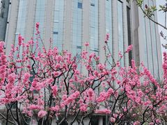 -北京明城墙遗址公园
