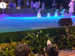 -渔家火锅·海鲜自助餐·演艺(亚龙湾天域酒店)