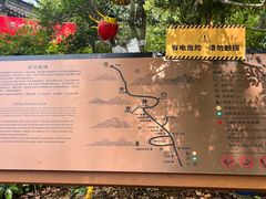 -雨花胜境