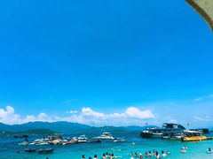 -珊瑚岛