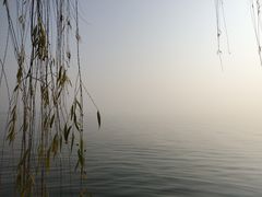 -巴厘龙虾·榜首油焖大虾(洞庭·艺术洋房店)