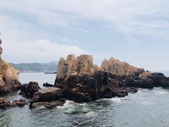 -枸杞岛