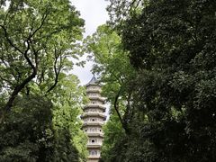 -灵谷景区