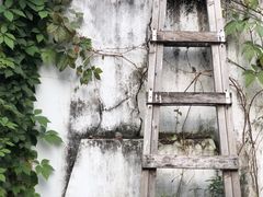 -素咫咖啡CLIFEROSE