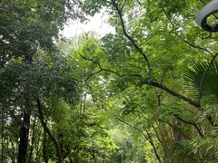 -成都市活水公园