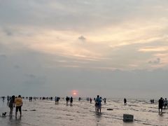 -南汇嘴观海公园