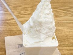 -野人先生Gelato(上海长宁龙之梦店)