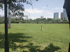 -万绿园
